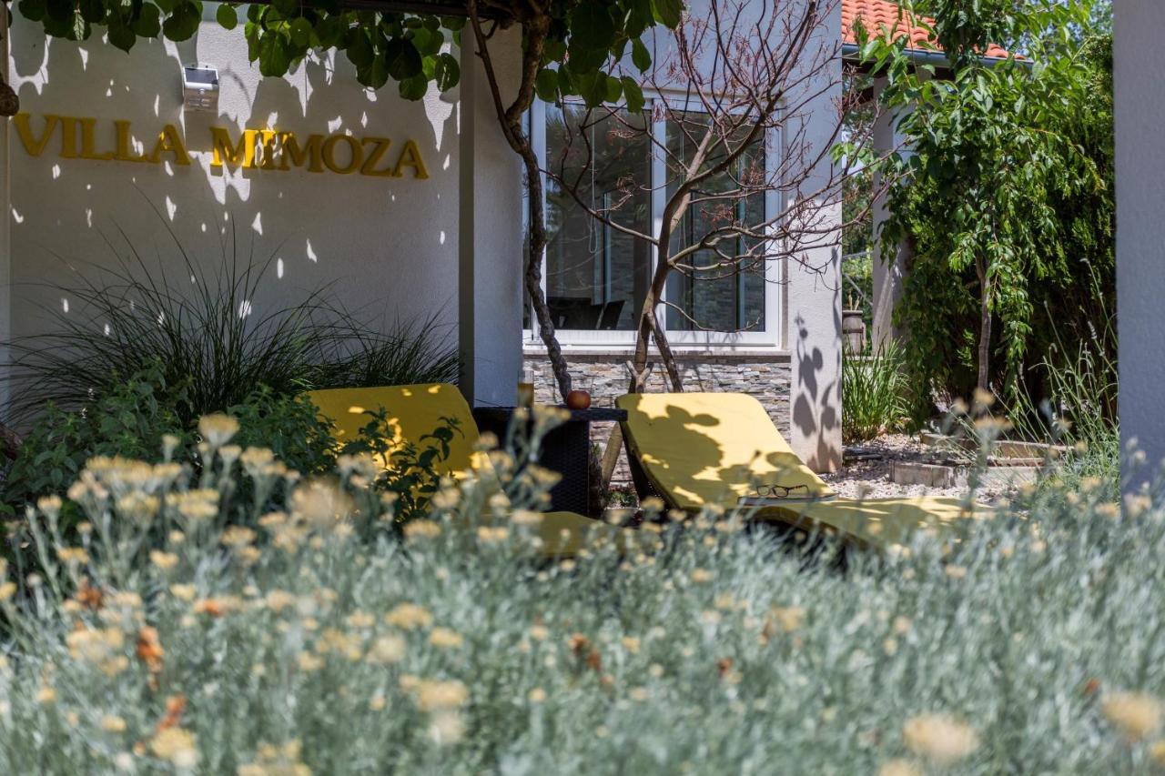 Molnar Resort Villa Mimoza&Apartment Nea Brzac Exterior foto