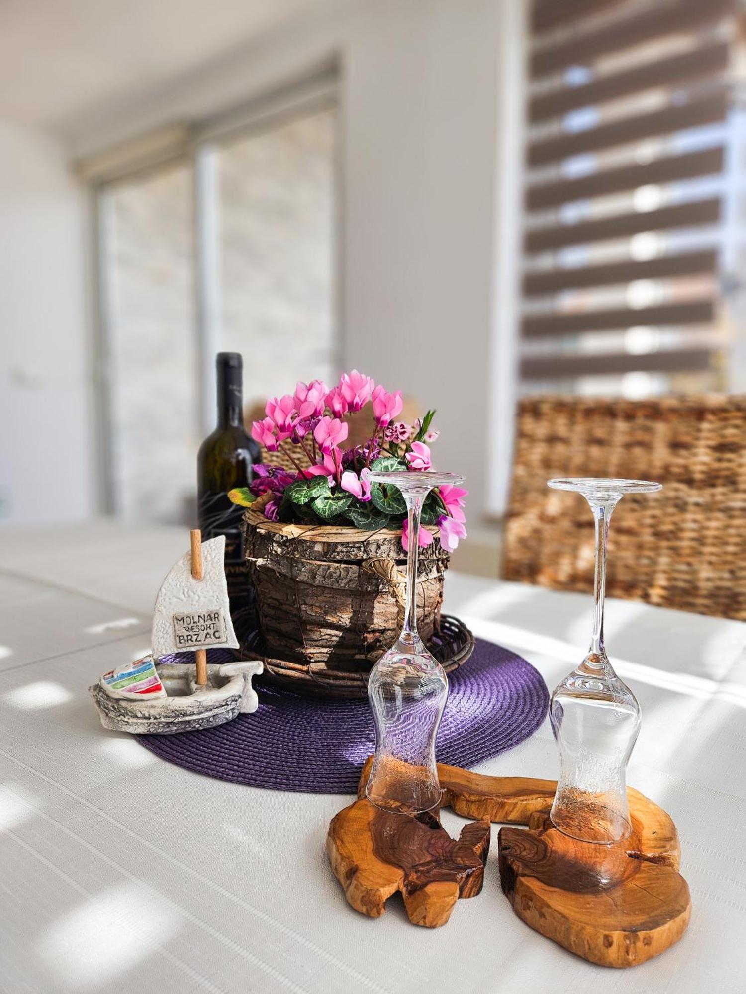 Molnar Resort Villa Mimoza&Apartment Nea Brzac Exterior foto
